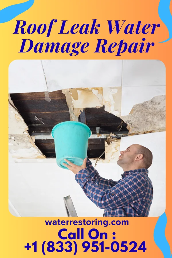 Roof Leak Water Damage Repair in Tensed, ID