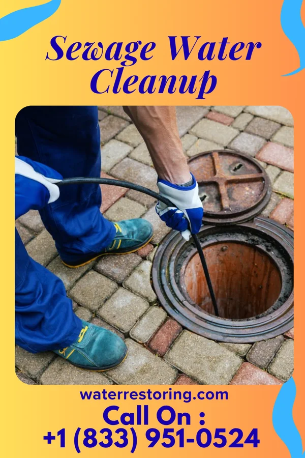 Sewage Water Cleanup in Tensed, ID